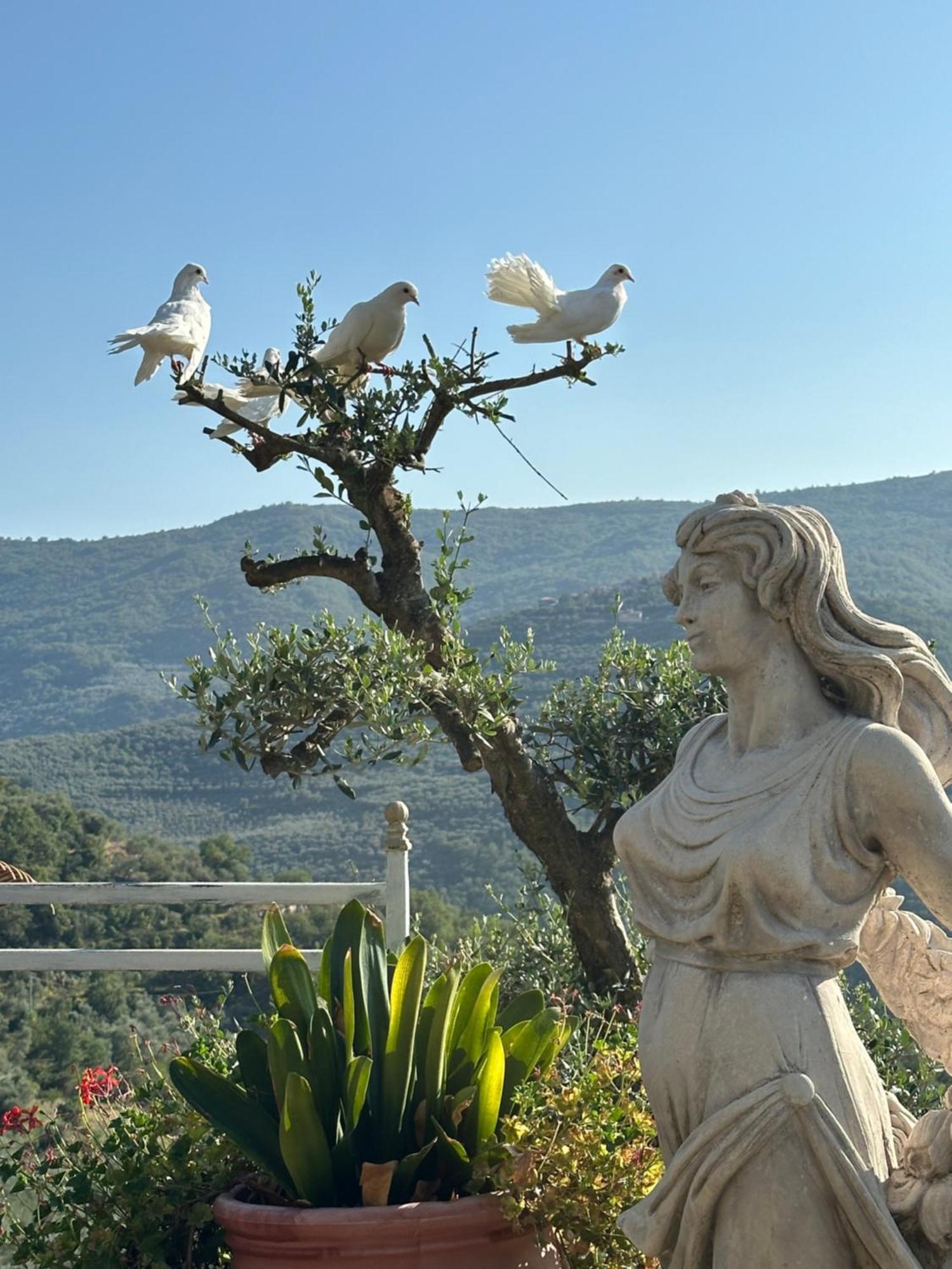 Villa Anna Torria 외부 사진